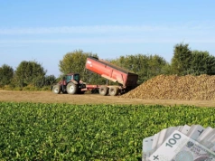 Kryzys na rynku cukru. Gigant zamyka cukrownię