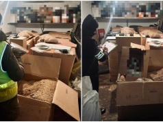 Tona krajanki i 42 tysiące papierosów o wartości ponad miliona złotych przechwycone przez Straż Graniczną