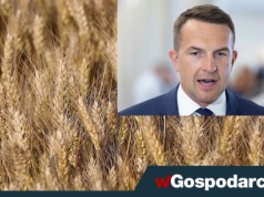 Pellet po 4,5 tys. zł. Rolnicy: 