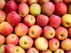 „Koktajl pestycydowy” w jabłkach? Ekolodzy krytykują nowy pakiet UE