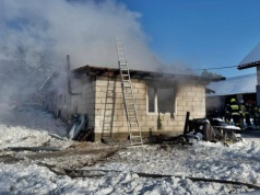 Płomienie tuż obok zwierząt w oborze. Strażacy prowadzili skoordynowaną akcję gaśniczą
