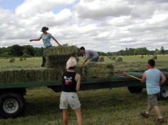 Pomocnik rolnika. Zbliża się termin zapłaty za styczeń