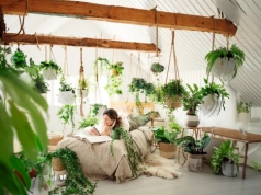 Postaw to w sypialni. Nocą produkuje tlen i realnie poprawia sen