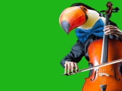 MCK Sokół: Muzyka z humorem wraca do Nowego Sącza. Przed nami XXI Festiwal FUN AND CLASSIC