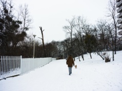 Śnieg i mróz nie obalają zmian klimatu, mogą za to pomóc wodom w Polsce