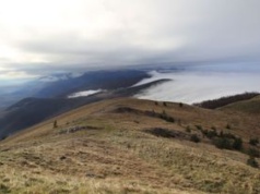 "Przypadek bez precedensu". Tajemnicza seria zgonów w Bułgarii