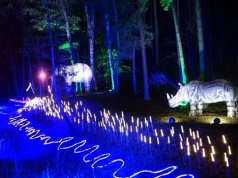 Ostatnie dni Lumina Parku ze specjalną promocją. Królestwo zwierząt za kilka dni nas opuści