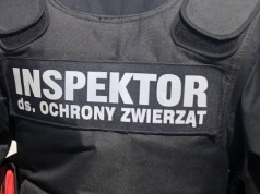 Rolnicy domagają się likwidacji uprawnień dla organizacji społecznych do odbierania zwierząt