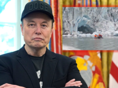 Musk chwalił się dotarciem na Antarktydę. Internauci twierdzą, że to "fake"