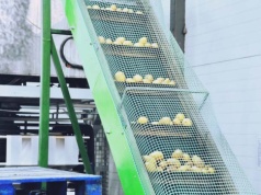 KPO: Ostatni dzwonek dla przetwórców. 28 miesięcy i ani dnia dłużej