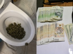 Białystok: dilerzy podczas policyjnego nalotu niezbyt skutecznie próbowali spuścić trawę w kiblu