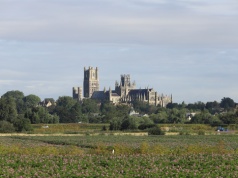 Masowy grób wikingów zawiera szczątki olbrzyma. Przed śmiercią zrobili coś z jego czaszką