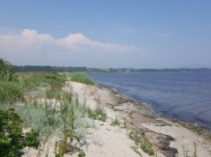 Społecznicy apelują o ratunek dla Zatoki Puckiej