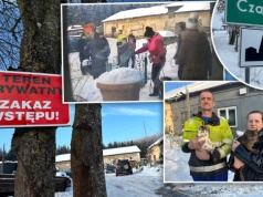Właściciele psów zgłaszają kradzież zwierząt. Aktywiści przyjechali z szlifierkami