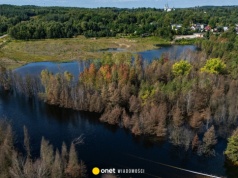 Stan pogotowia przeciwpowodziowego w małopolskiej gminie. Będzie obowiązywał do odwołania