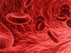 GORĄCZKA KRWOTOCZNA