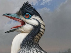 Robią wiele, by odkryć tajemnicę tego zwierzęcia. Jest nowy pomysł