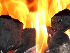 Trump zdecydował: Pentagon ma kupować energię z elektrowni węglowych