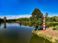 Kolejne fiasko sprzedaży. Tarka w Jaworznie znów bez właściciela