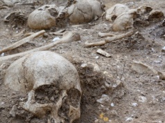 Niezwykły masowy grób z pogranicza wikingów i Anglosasów. Wśród ofiar olbrzym po trepanacji