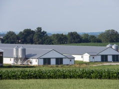 Polska wieś i rolnicy pod ochroną. Co konkretnie zyskają?