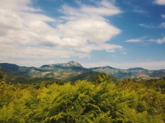 Budowa serbskiej linii kolejowej doprowadziła do odkrycia osady, o której historycy nie mieli pojęcia
