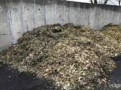 Ekologiczne pożegnanie ze świętami