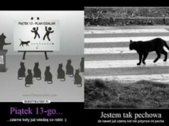 Dziś pechowy piątek trzynastego. Te memy ROZBAWIĄ nawet przesądnych