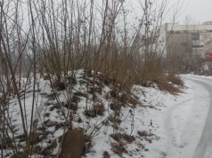 Nowe Centrum Torunia. Mieszkańcy podzieleni ws. budowy bloków w pobliżu starówki