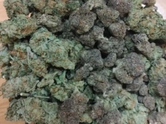 41-letnia jeleniogórzanka miała w mieszkaniu 500 porcji handlowych marihuany