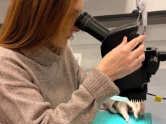 Przełomowy materiał dla szpitali. "Klamka sama się dezynfekuje"