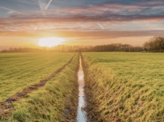 Rów melioracyjny na granicy – czy wolno go zasypać?