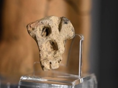 Tajemniczy artefakt odkryty na Podkarpaciu. Archeolog o tym, czym może być