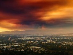 Co roku zabija setki osób. Szybciej niż popularne choroby