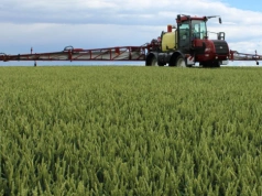 Nawet 1180 zł/ha. Do jakich upraw dostaniesz dopłaty IP w 2026?