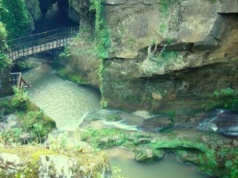 Dżungle jak w Azji, ukryte pod ziemią. W tej jaskini rozkwita piękno; każdy może je zwiedzić