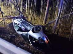 Piątek trzynastego: spektakularny lot w drzewa. Przegrał z fizyką