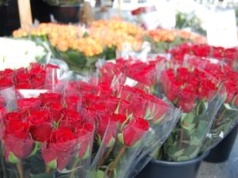 Nie kupuj tych kwiatów na walentynki. Przynoszą pecha