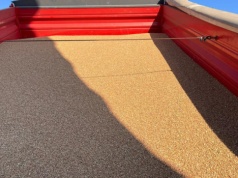 Prognoza rekordowych zbiorów zbóż w Chinach