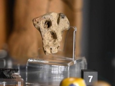 Tajemniczy przedmiot sprzed 2,5 tys. lat odkryty na Podkarpaciu. Pierwszy taki na ziemiach polskich