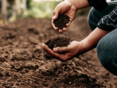 Najlepszy nawóz do roślin już masz w ogrodzie. W tych miejscach znajdziesz "czarne złoto"