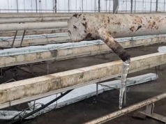 Sześć godzin bez prądu i wszystko przepadło. Dramat w gospodarstwie ogrodniczym