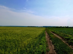 Duże gospodarstwo do dzierżawy z KOWR na Dolnym Śląsku. Ponad 190 hektarów