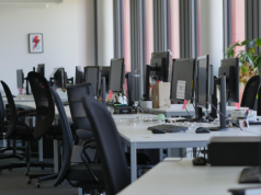 Kolejny guru AI wieszczy szybką katastrofę na rynku pracy