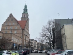 Lasek Pieczewski do wycinki pod zabudowę? Fatalne oświadczenie Ratusza