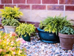 Najpierw zwykła dekoracja, potem efekt 