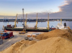 Marcin Wroński: W rządzie nieróbstwo, a rolnik gotuje się z towarem w magazynie