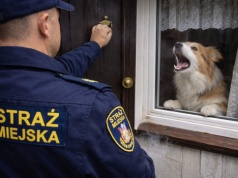 Straż od 6 rano będzie pukać do drzwi z wilgotnościomierzem. Zrobi pomiar i mandat 500 zł
