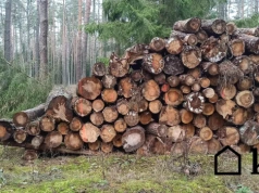 Kupujesz drewno opałowe? Ten wybór może kosztować cię setki złotych na metrze
