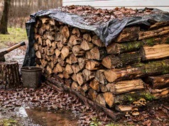 Najgorsze miejsce do trzymania drewna na opał. Polacy wciąż popełniają ten błąd